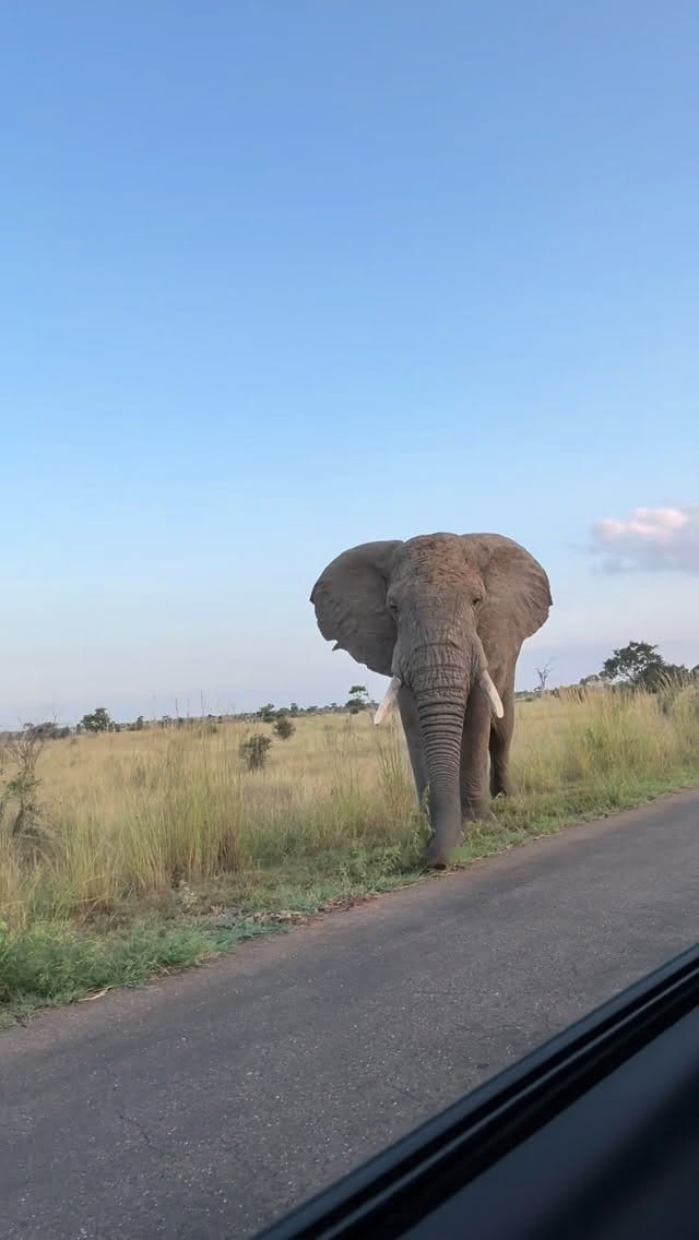 Post 1 by Samuel Ribeiro on Instagram (video)
