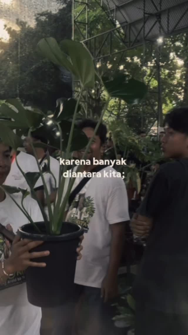 Post 8 by plant_aa on Instagram (video)