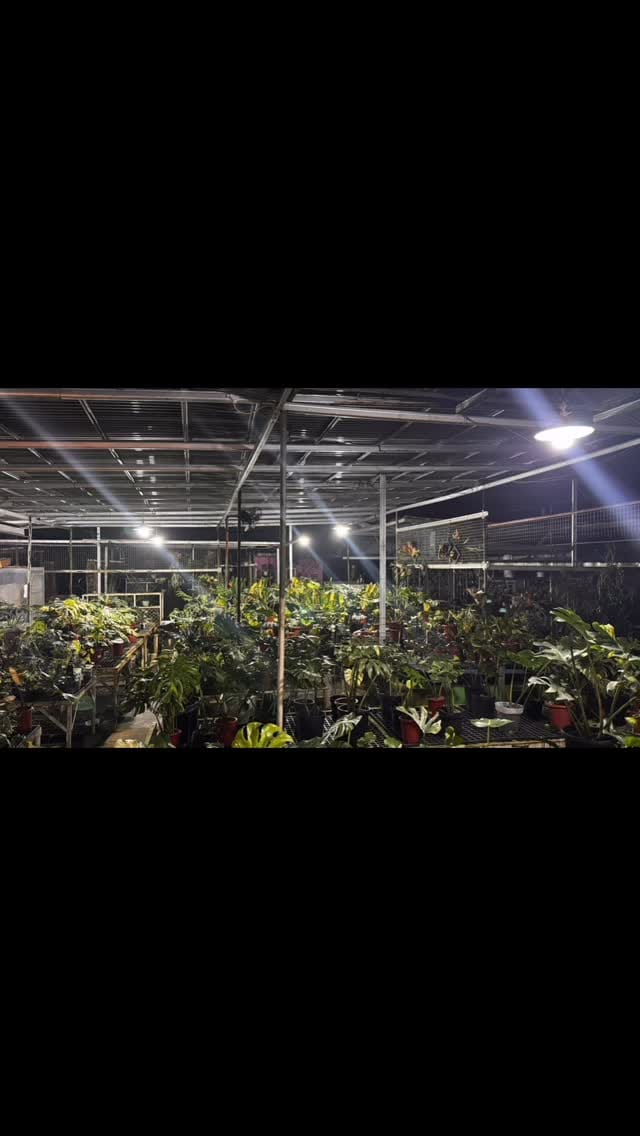 Post 1 by plant_aa on Instagram (video)