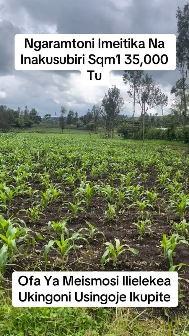 Post 5 by VIWANJA ARUSHA | RESIDENTIAL AND COMMERCIAL PLOT on Instagram (video)