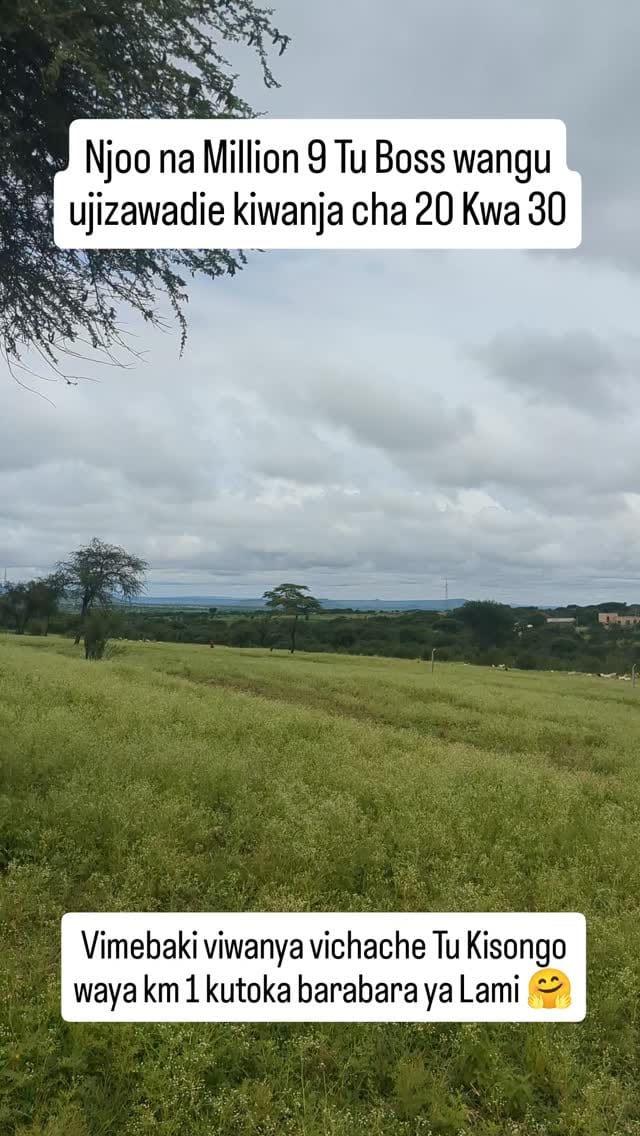 Post 3 by VIWANJA ARUSHA | RESIDENTIAL AND COMMERCIAL PLOT on Instagram (video)