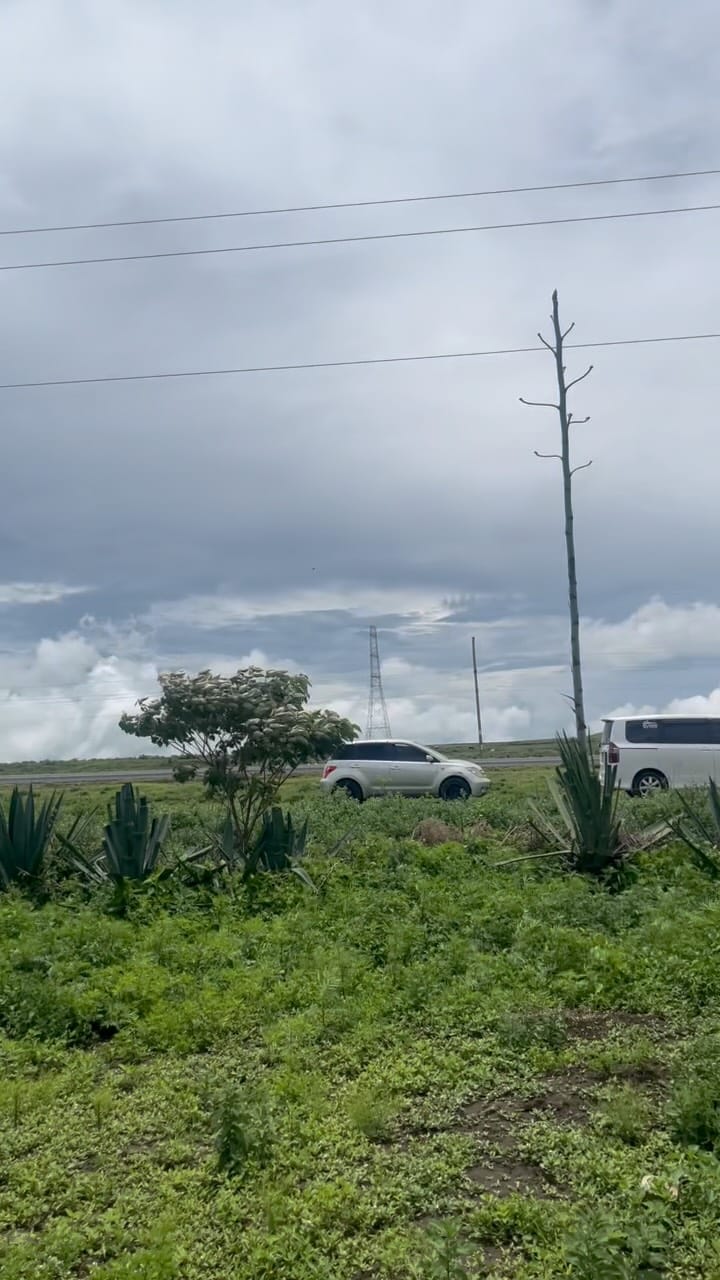 Post 2 by VIWANJA ARUSHA | RESIDENTIAL AND COMMERCIAL PLOT on Instagram (video)