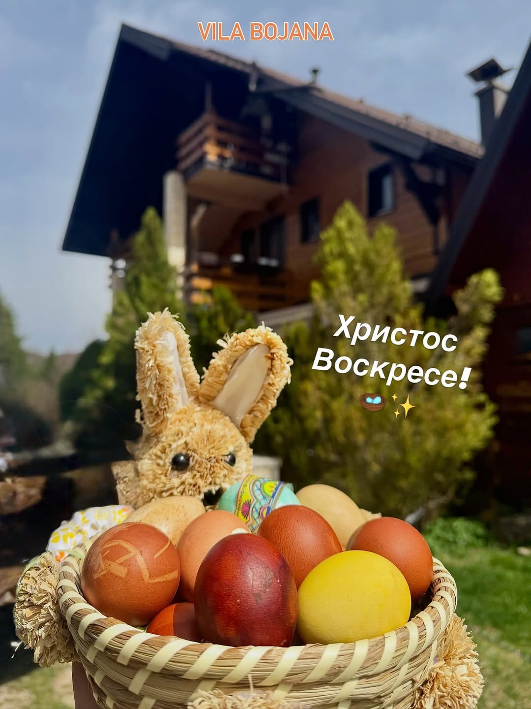 Post 5 by APARTMANI VILA BOJANA Tara-Zaovine💆🏼‍♀️ on Instagram (image)