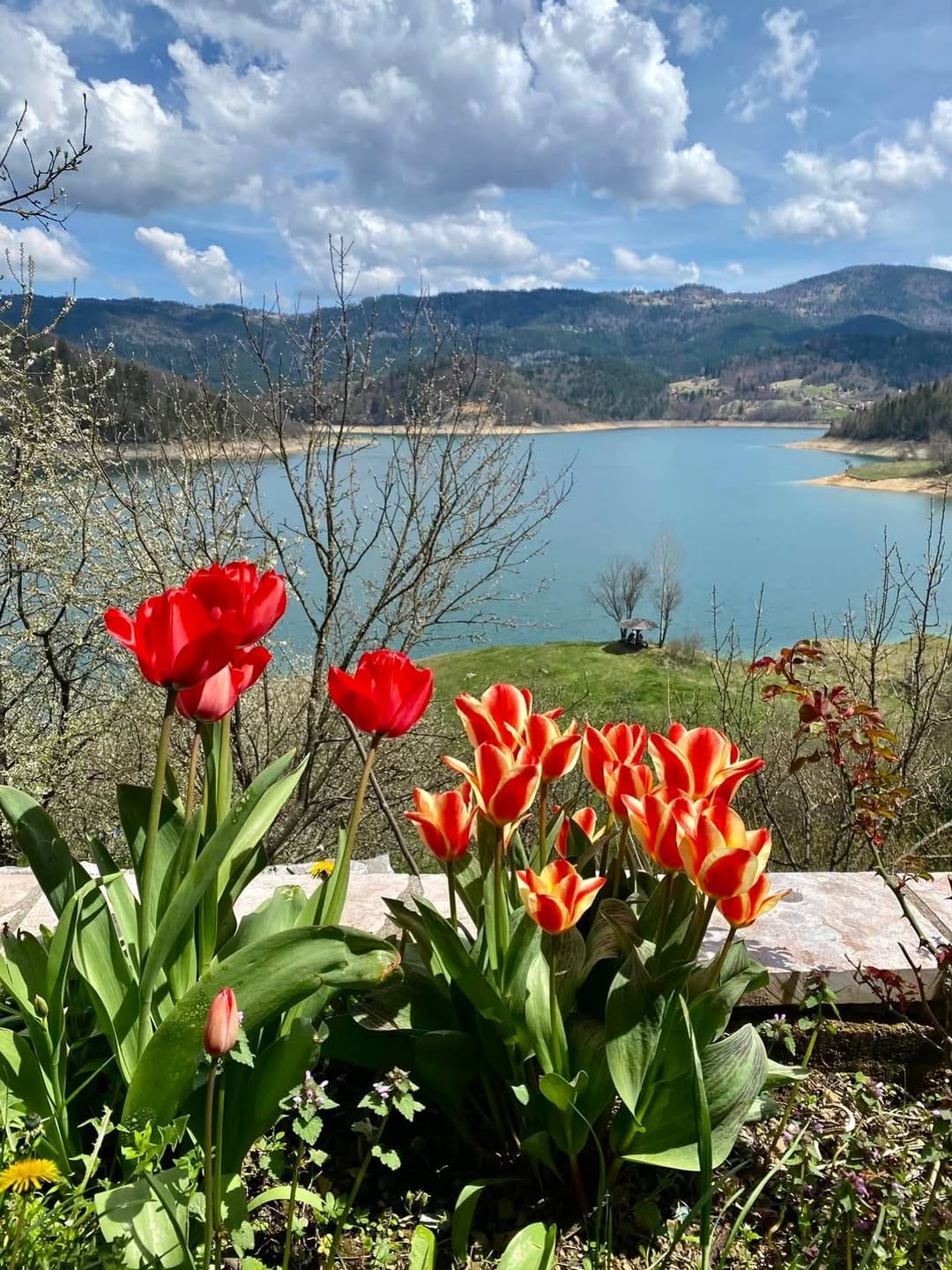 Post 6 by APARTMANI VILA BOJANA Tara-Zaovine💆🏼‍♀️ on Instagram (carousel)