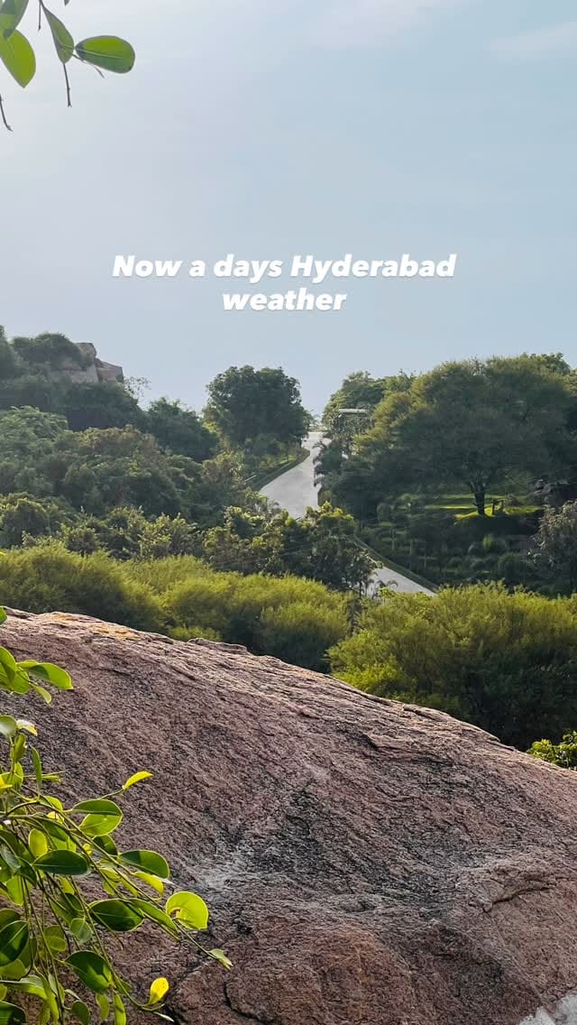 Post 7 by Syed Mujtaba Quadri on Instagram (video)
