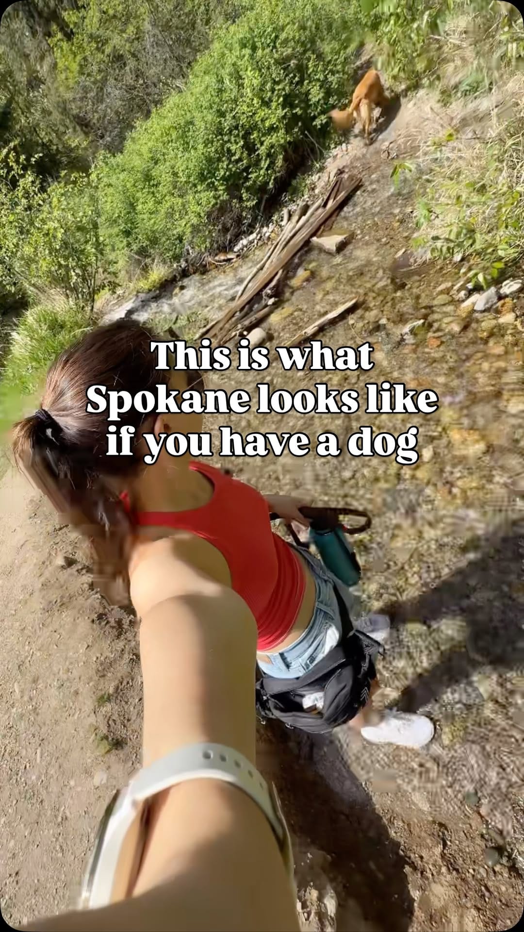 Post 8 by Reanna Guerrero | Spokane Real Estate Agent on Instagram (video)