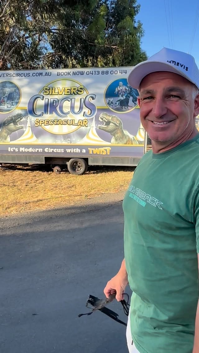 Post 8 by Silvers Circus on Instagram (video)