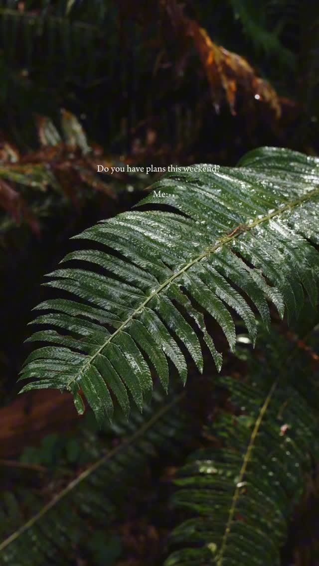 Post 1 by Riveria Stays on Instagram (video)