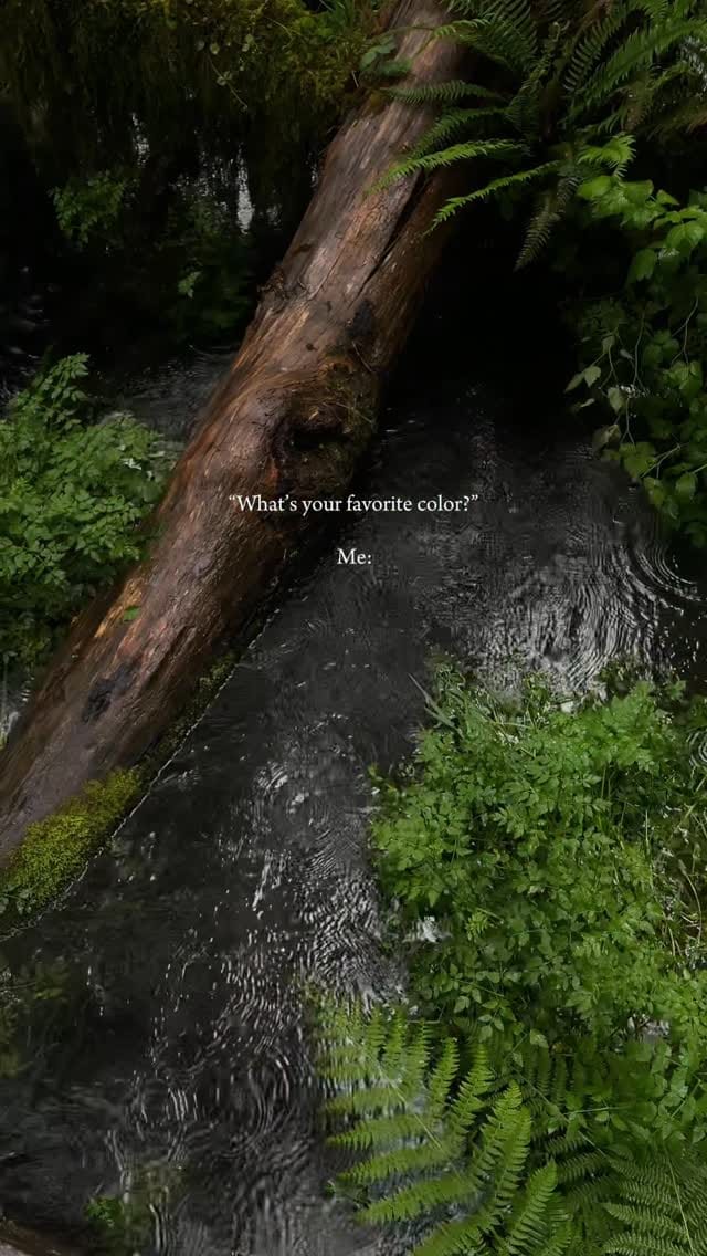 Post 8 by Riveria Stays on Instagram (video)