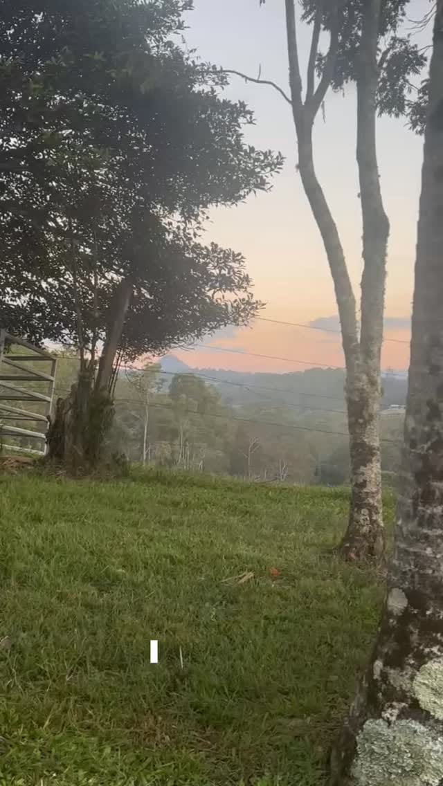 Post 2 by Thirlestane Farm | Sunshine Coast Farm Stay on Instagram (video)