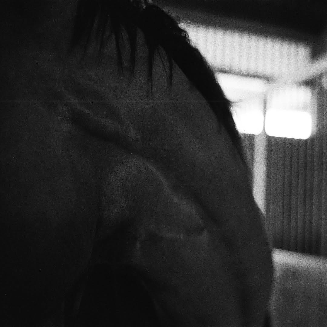Post 2 by Selina Beutler on Instagram (carousel)