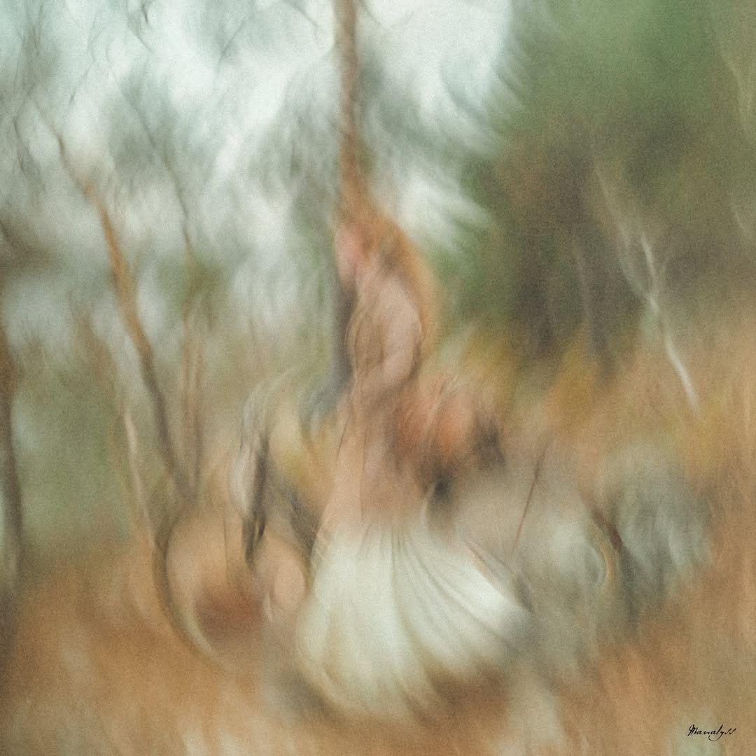 Post 3 by Michael Boudoux on Instagram (carousel)