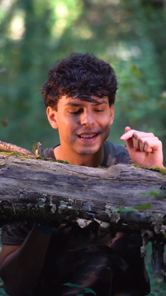 Post 3 by 𝗙𝗿𝗮𝗻𝗰𝗲𝘀𝗰𝗼 𝗖𝗮𝗴𝗴𝗶𝗮𝗻𝗼🐍 on Instagram (video)