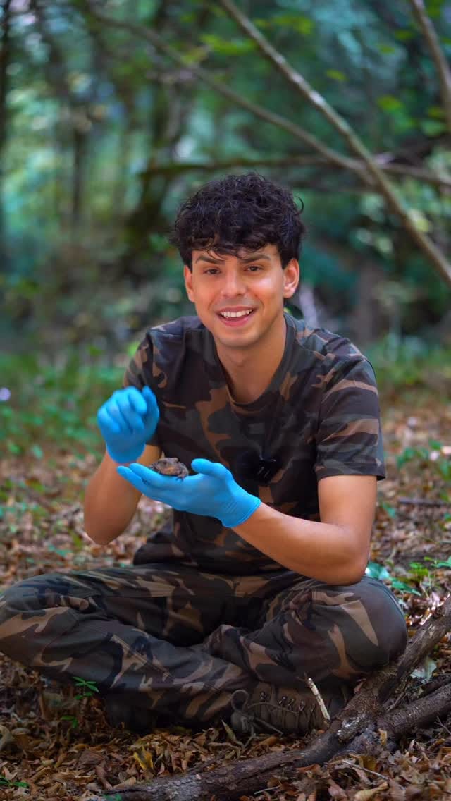 Post 5 by 𝗙𝗿𝗮𝗻𝗰𝗲𝘀𝗰𝗼 𝗖𝗮𝗴𝗴𝗶𝗮𝗻𝗼🐍 on Instagram (video)