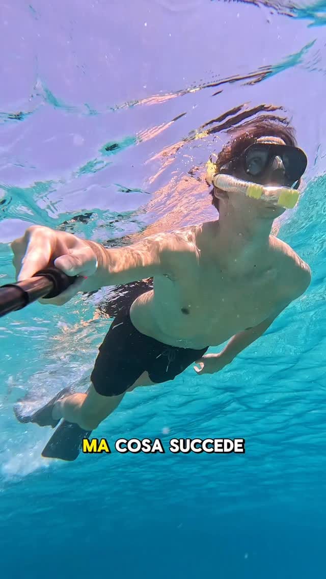 Post 2 by 𝗙𝗿𝗮𝗻𝗰𝗲𝘀𝗰𝗼 𝗖𝗮𝗴𝗴𝗶𝗮𝗻𝗼🐍 on Instagram (video)