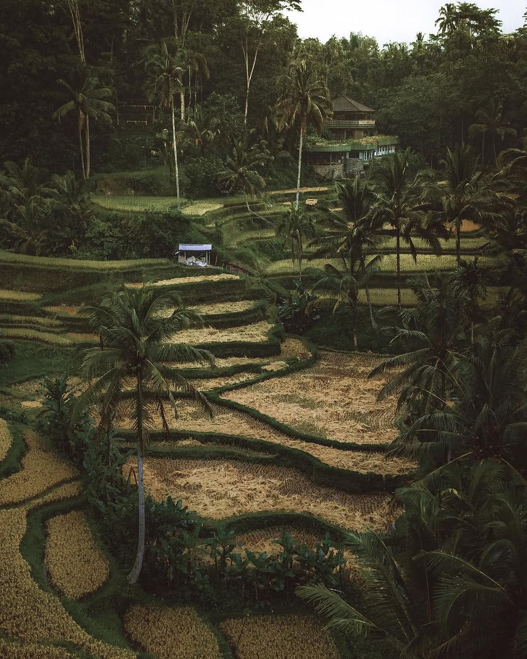 Post 4 by SPLEENSTYLE on Instagram (image)