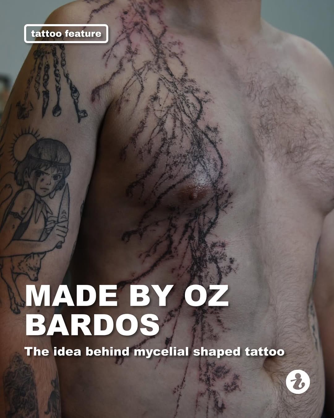 Post 2 by oz bardos on Instagram (carousel)