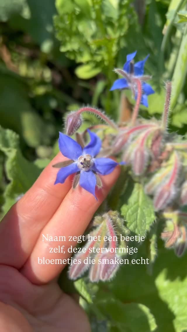 Post 1 by 𝐾𝑖𝑚 𝐶𝑎𝑙𝑜𝑚𝑚𝑒 on Instagram (video)