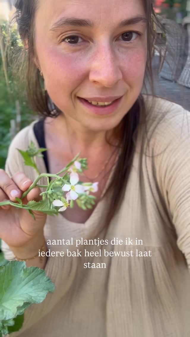 Post 3 by 𝐾𝑖𝑚 𝐶𝑎𝑙𝑜𝑚𝑚𝑒 on Instagram (video)