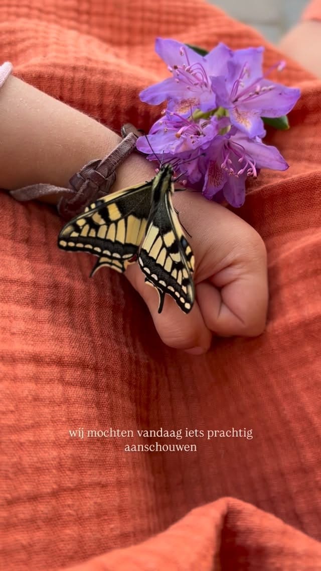 Post 5 by 𝐾𝑖𝑚 𝐶𝑎𝑙𝑜𝑚𝑚𝑒 on Instagram (video)