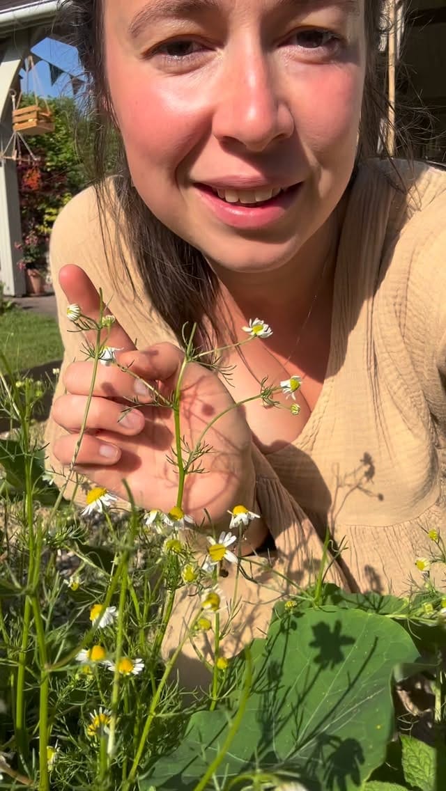 Post 4 by 𝐾𝑖𝑚 𝐶𝑎𝑙𝑜𝑚𝑚𝑒 on Instagram (video)