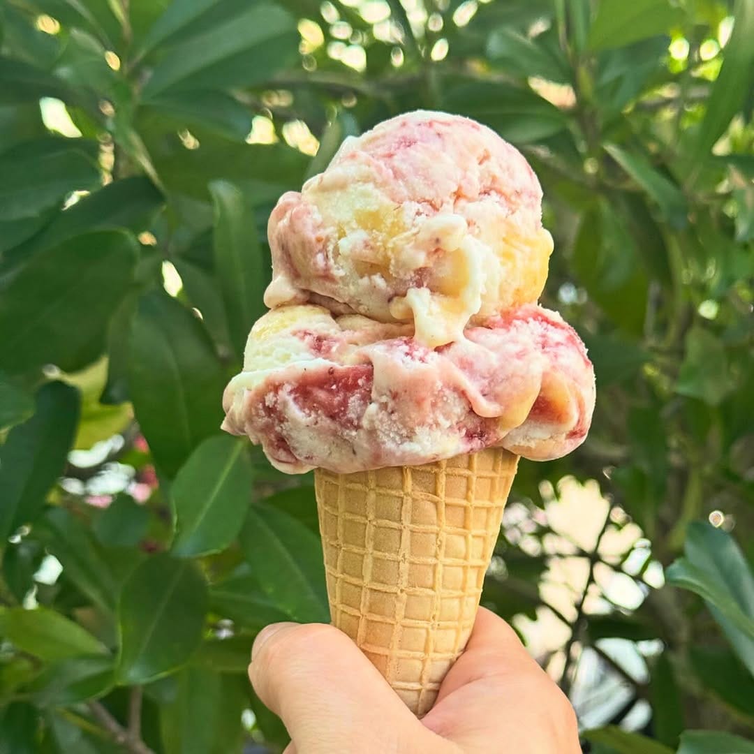 Post 10 by Lucy Boone Ice Cream on Instagram (image)