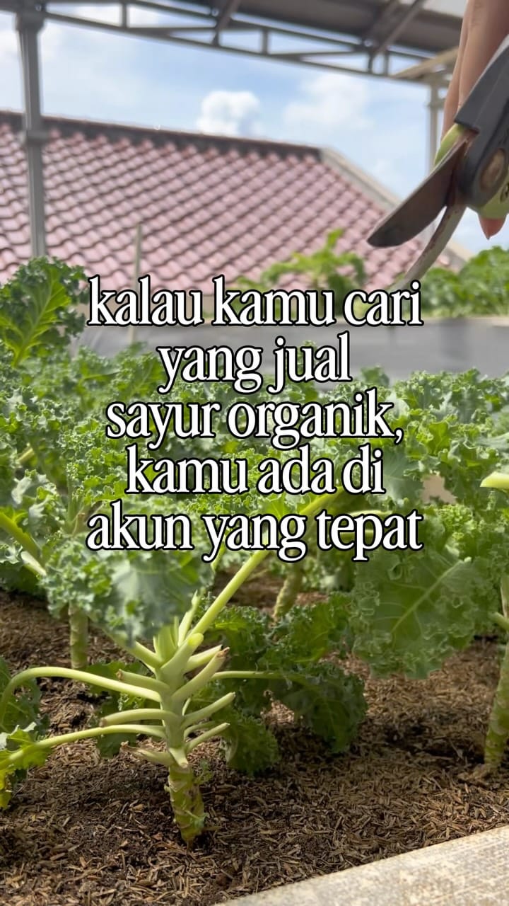 Post 4 by KEBUN RIZKI on Instagram (video)