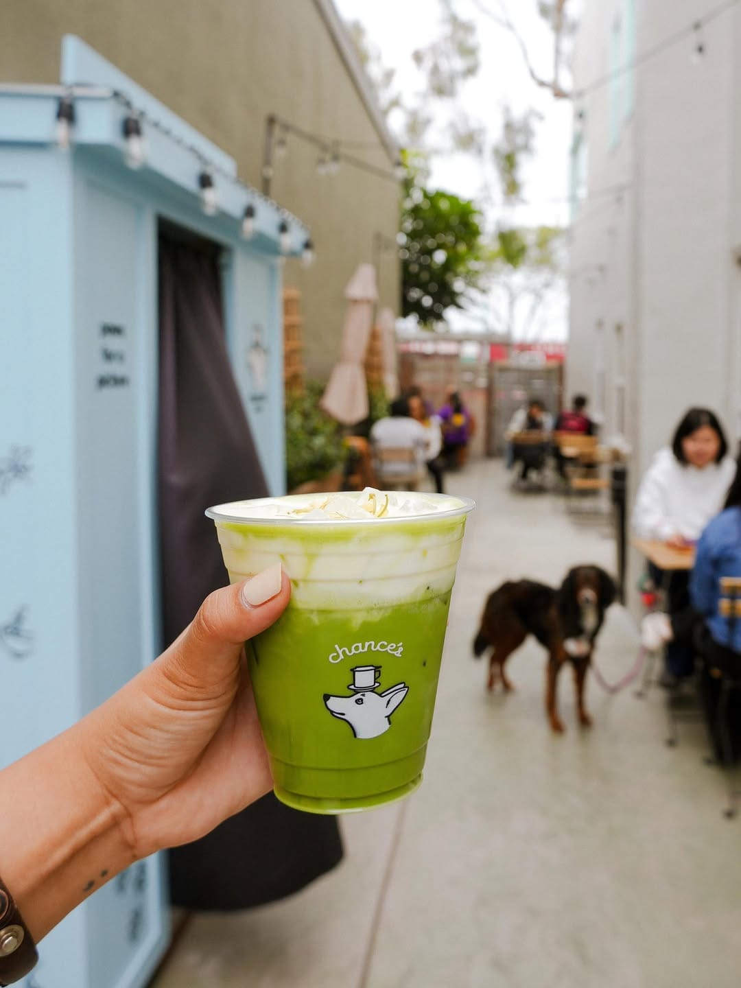 Post 4 by chance’s coffee on Instagram (image)