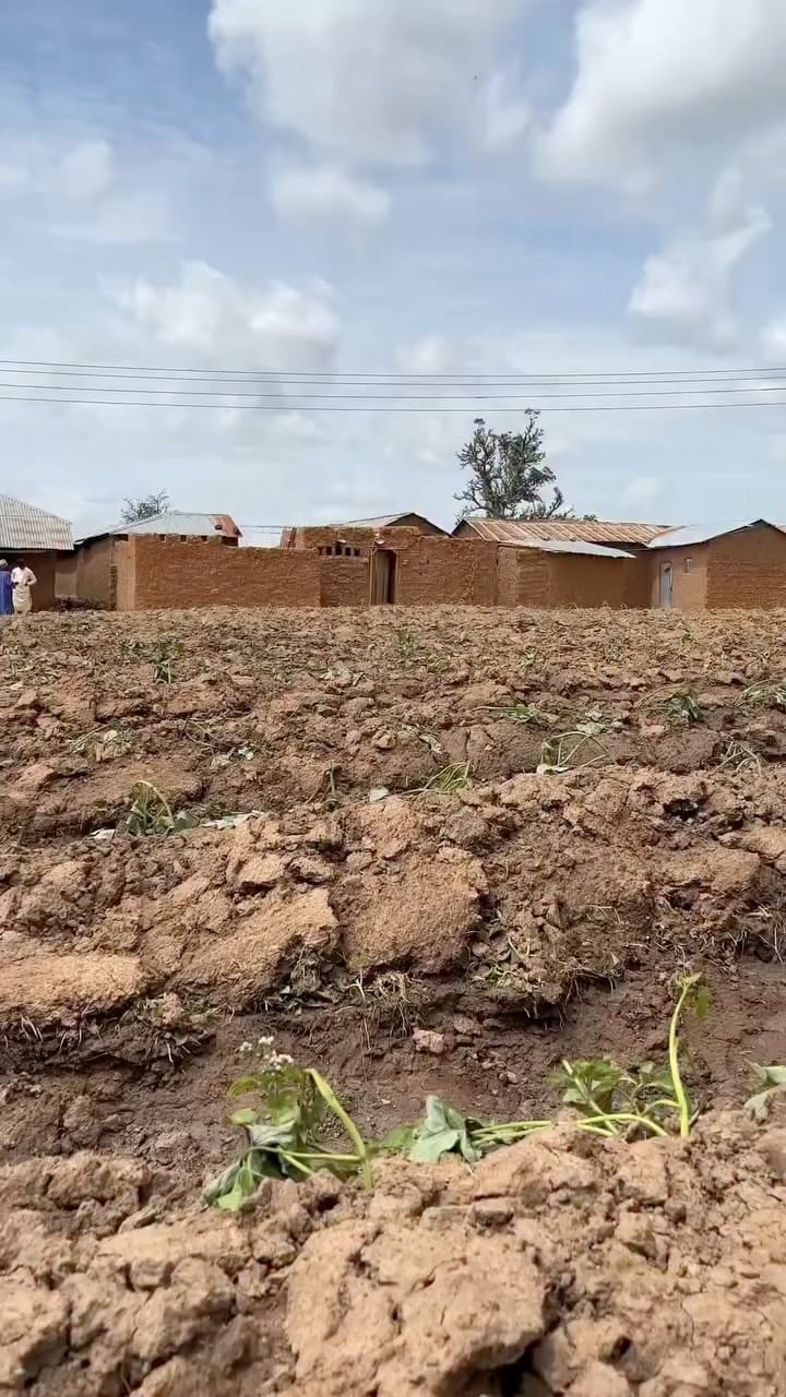 Post 3 by SAMOSA,WRAPS,MEATPIE,DOUGHNUT,MILKCAKE IN KADUNA/ABUJA/LAGOS on Instagram (video)