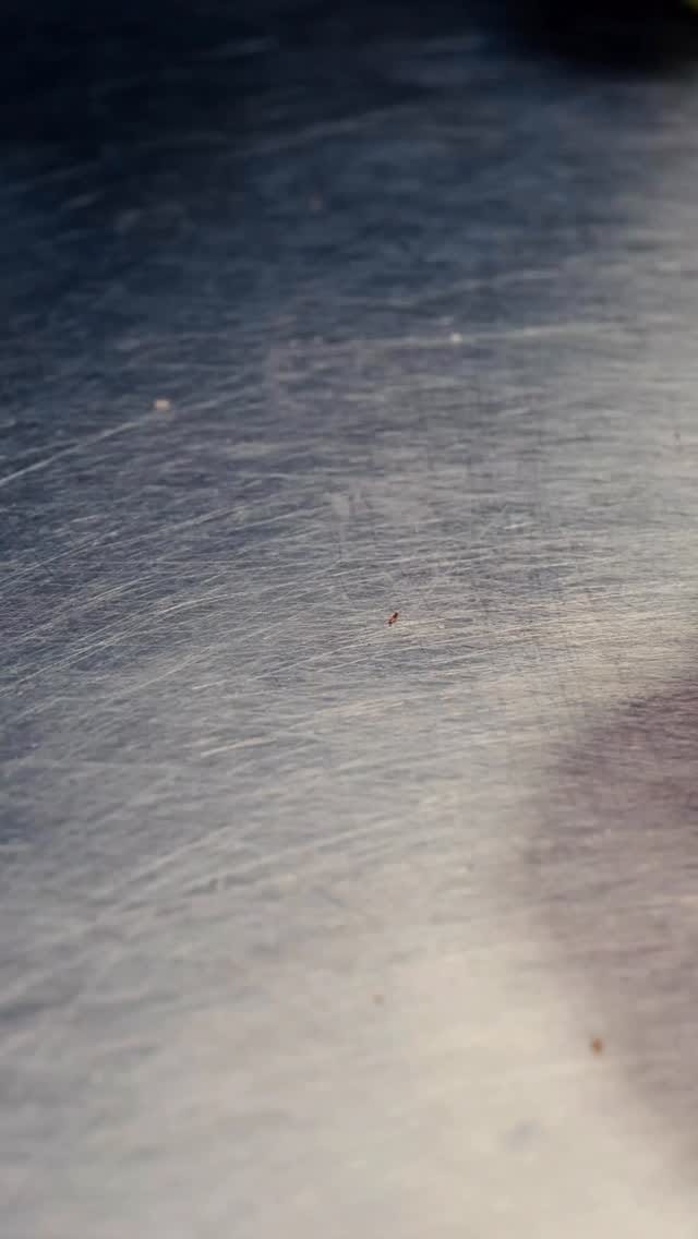 Post 7 by Fried.ma on Instagram (video)