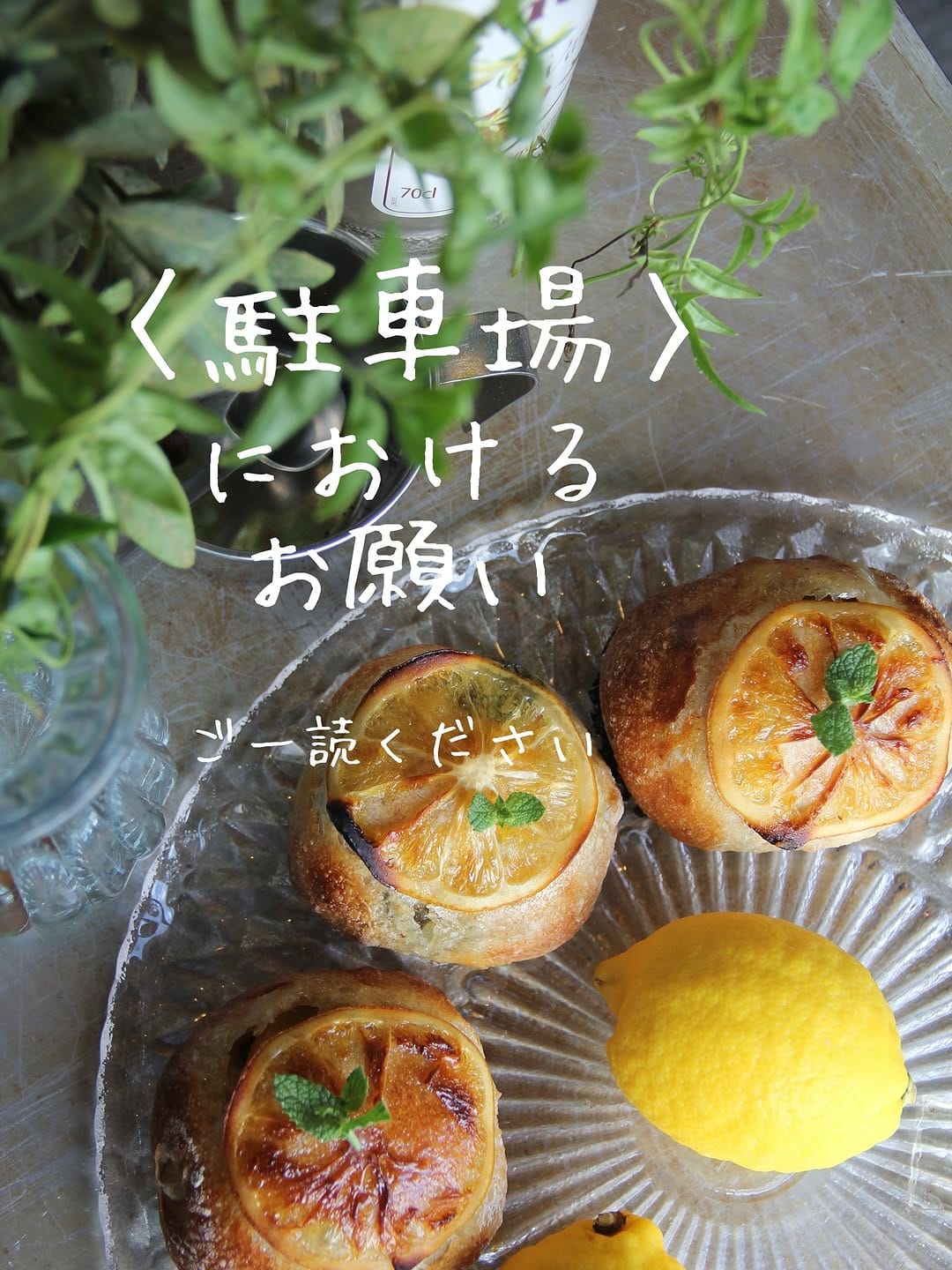 Post 9 by levain lupin levain on Instagram (image)