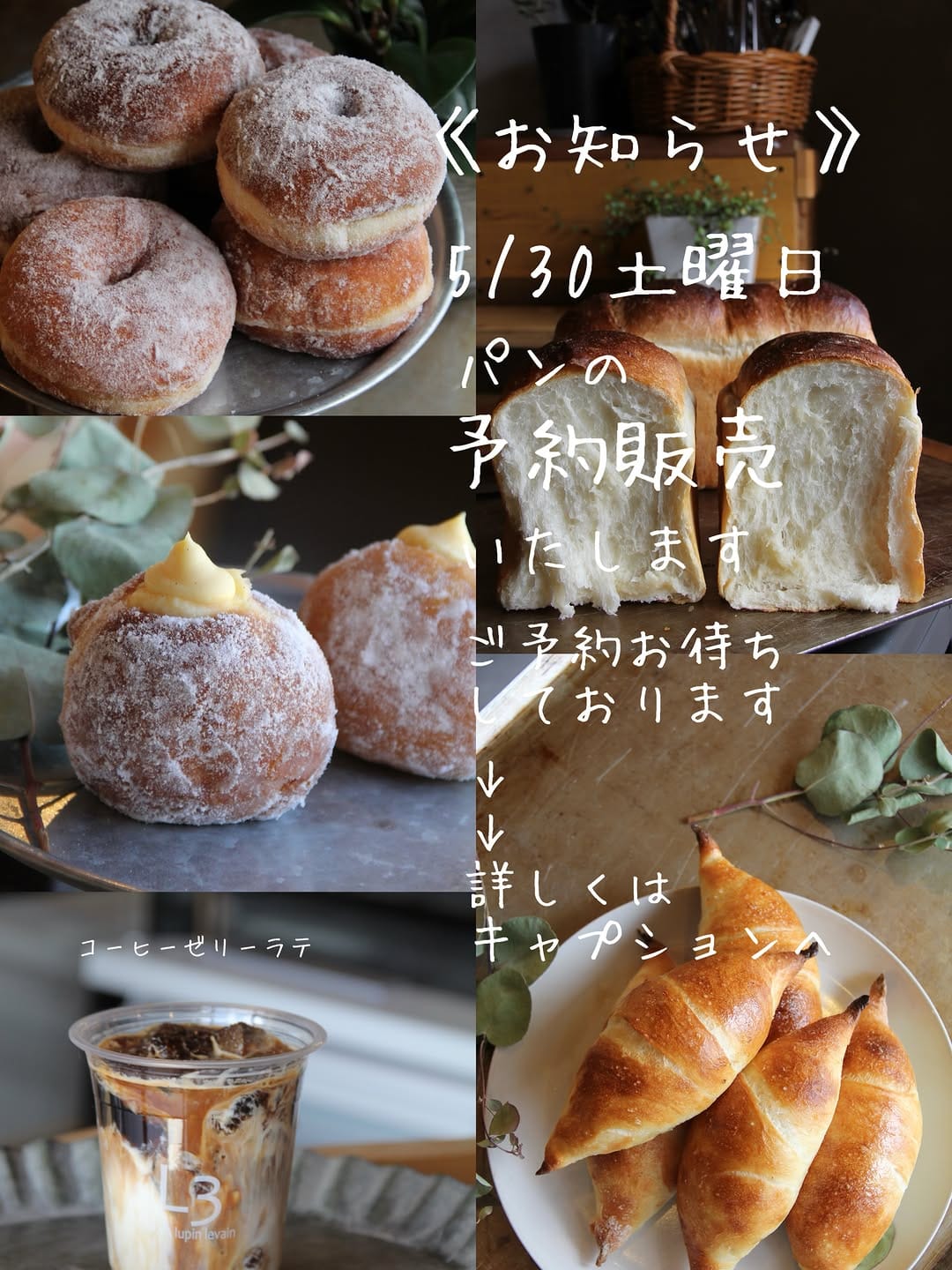 Post 2 by levain lupin levain on Instagram (image)