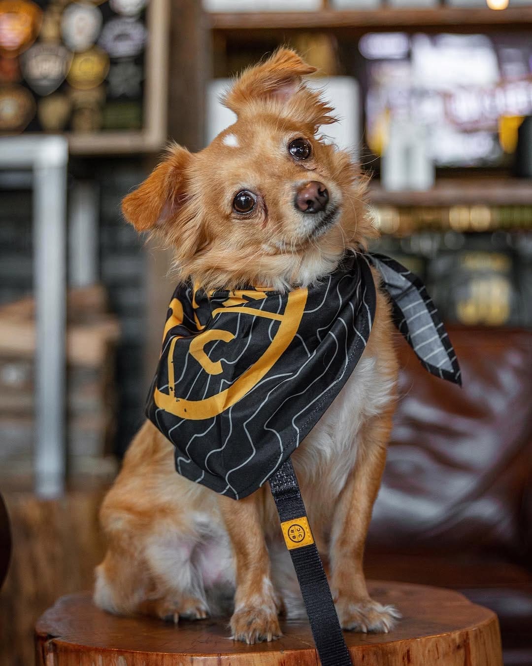 Post 5 by Black Rifle Coffee Shops on Instagram (carousel)