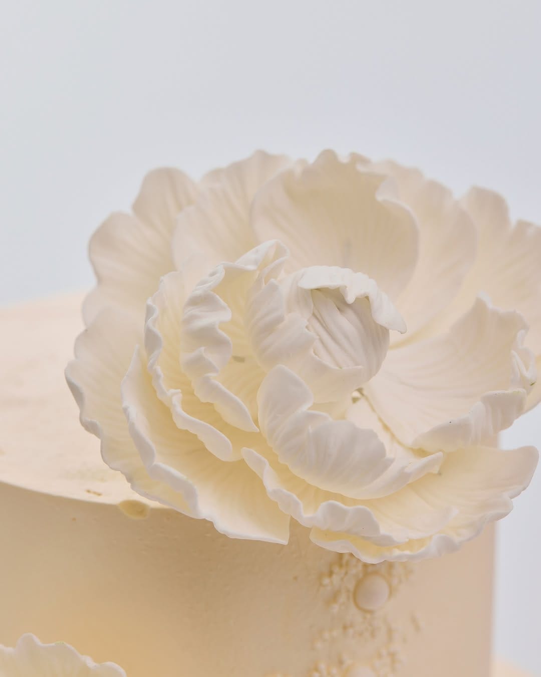 Post 5 by VIOLET & SALT® | Melbourne Cakes & Desserts on Instagram (image)