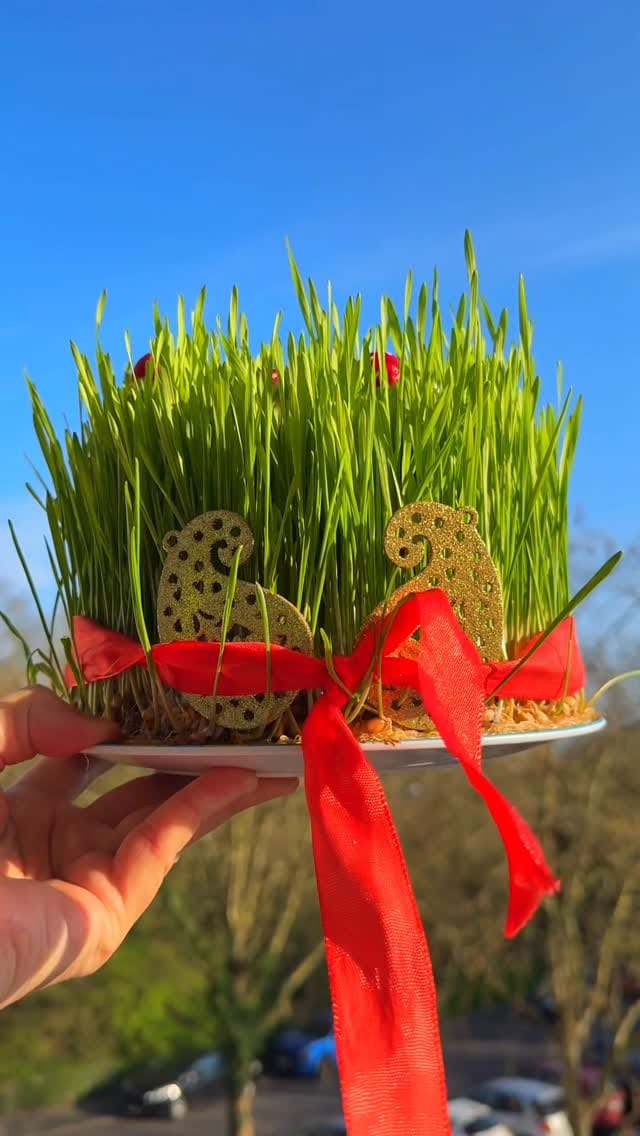 Post 3 by Arzu Rzayeva on Instagram (video)