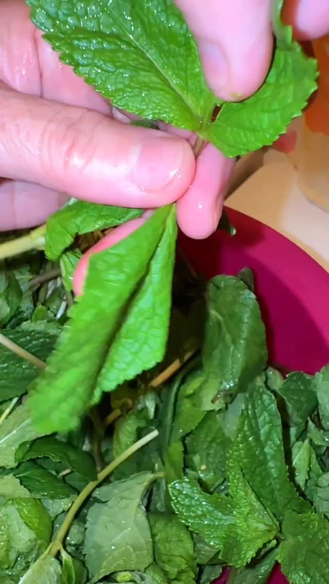 Post 6 by Arzu Rzayeva on Instagram (video)