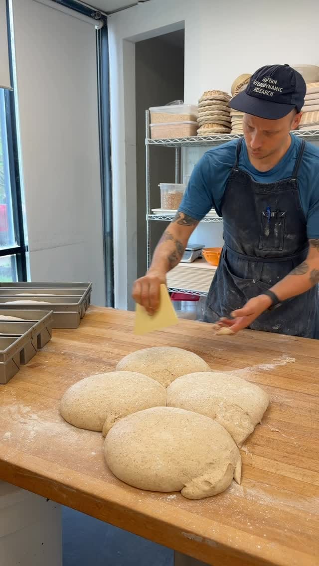 Post 9 by Dan The Baker on Instagram (video)