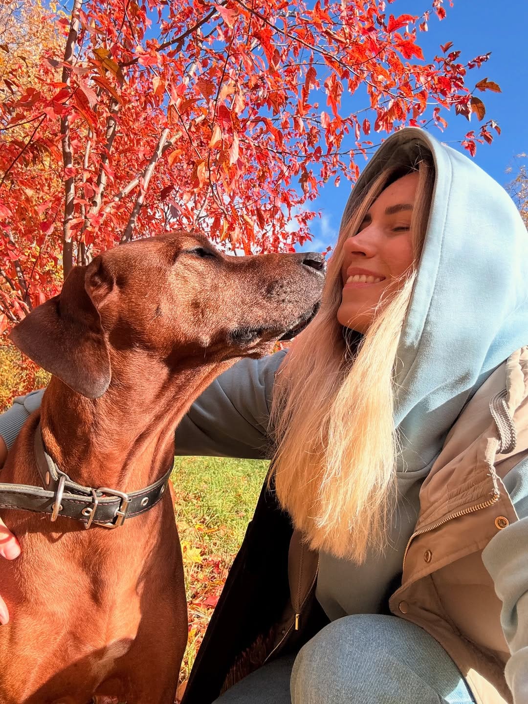 Post 6 by DOGBLOG | VAIS AMULET SOUL on Instagram (carousel)