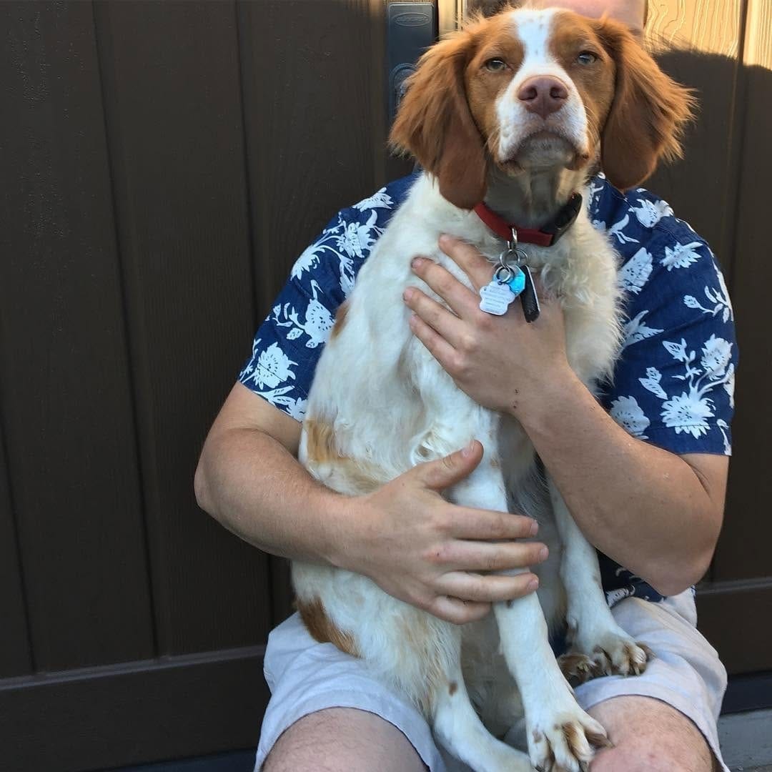 Post 1 by BrittanyDog Insta 102 on Instagram (image)