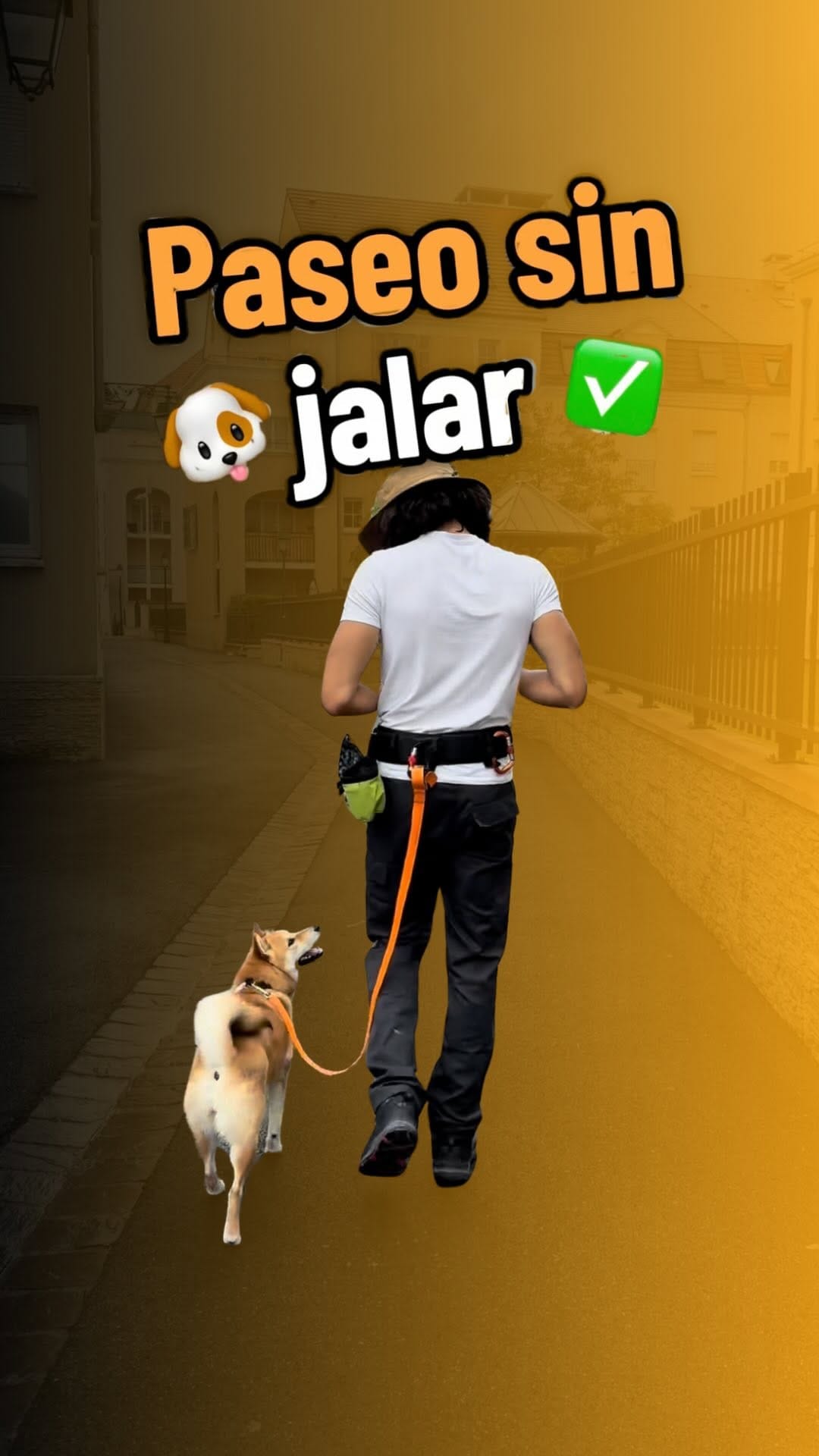 Post 10 by 🌲🐶Dogtavio | Dog trainer 🦮🌳 on Instagram (video)