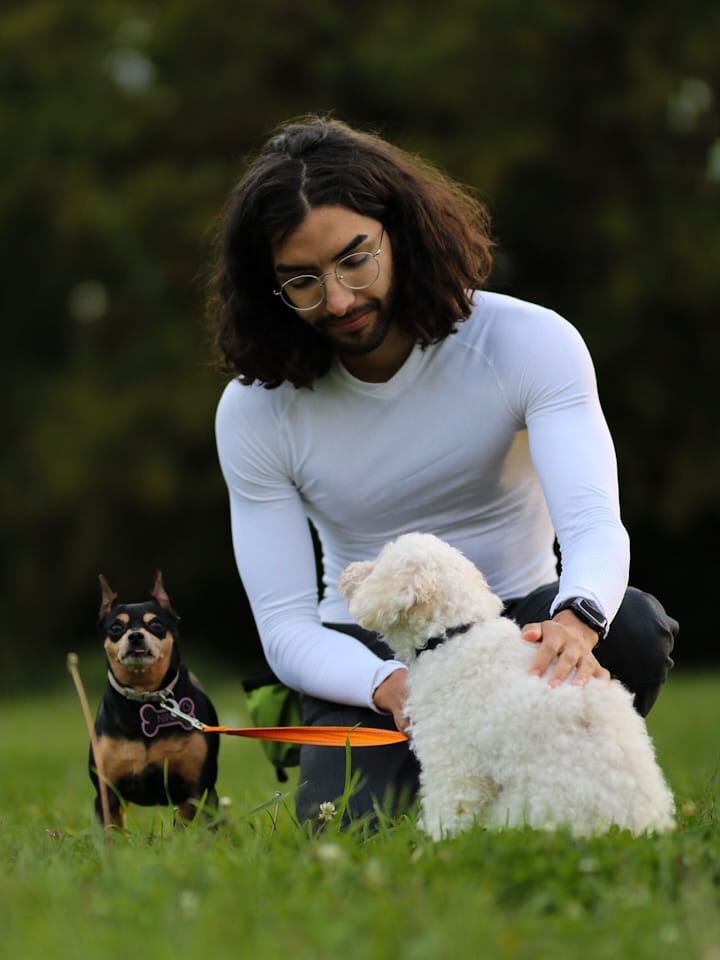 Post 7 by 🌲🐶Dogtavio | Dog trainer 🦮🌳 on Instagram (carousel)