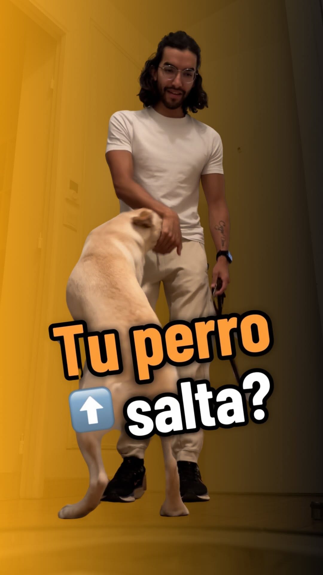 Post 9 by 🌲🐶Dogtavio | Dog trainer 🦮🌳 on Instagram (video)