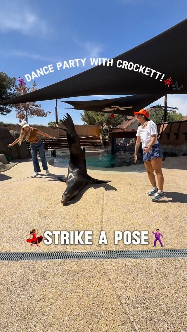 Post 7 by Kyle Unfug on Instagram (video)