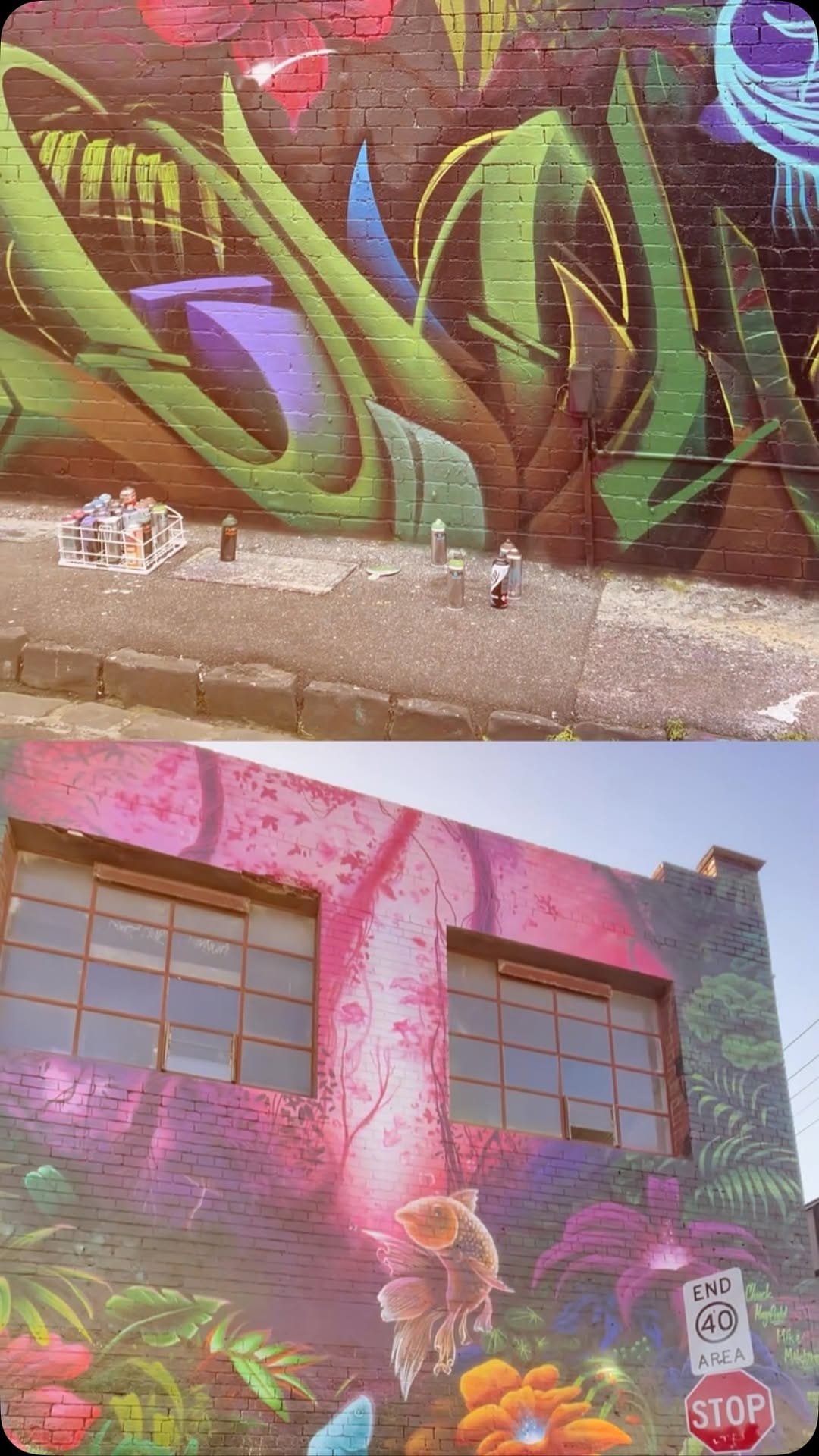 Post 1 by Chuck Mayfield on Instagram (video)