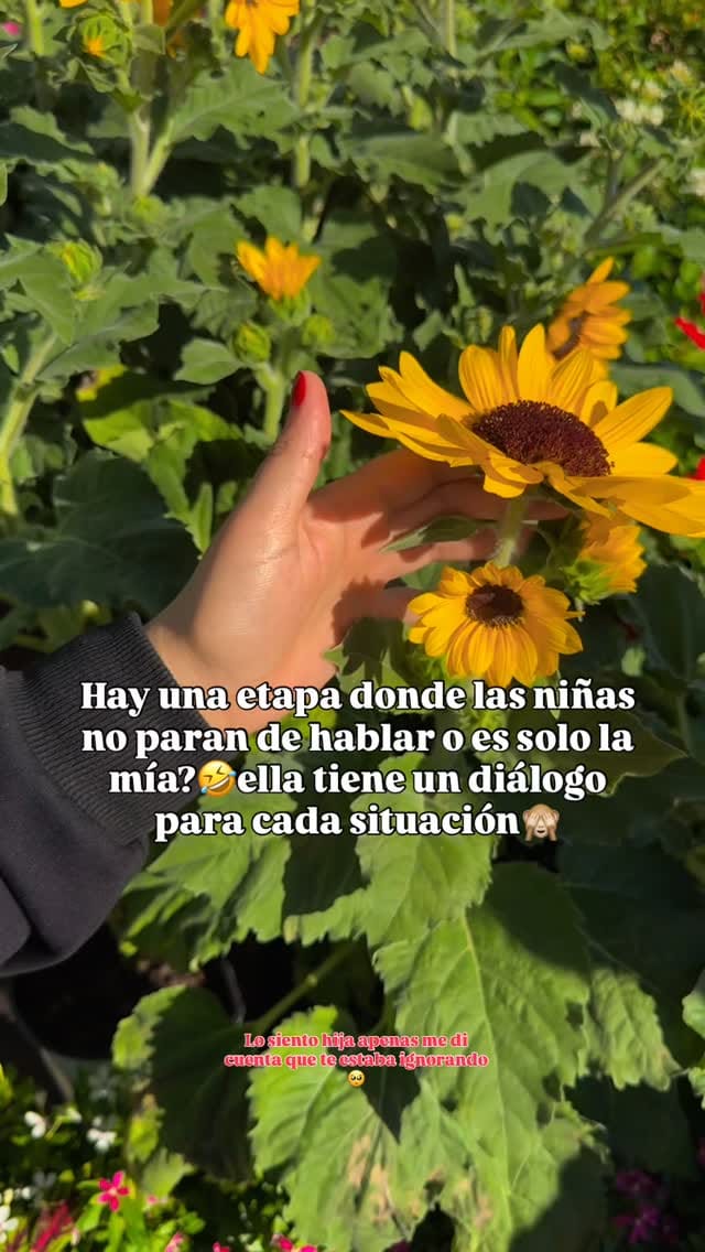Post 2 by LULU 💙 on Instagram (video)