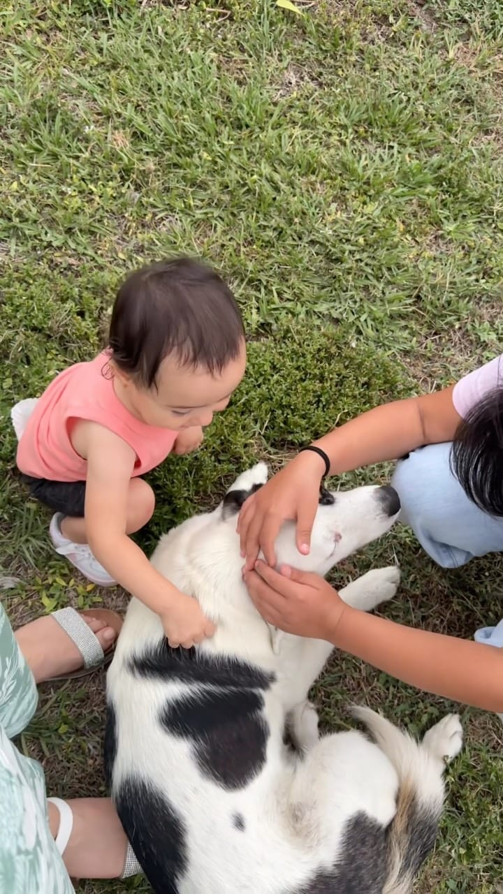 Post 1 by LULU 💙 on Instagram (video)