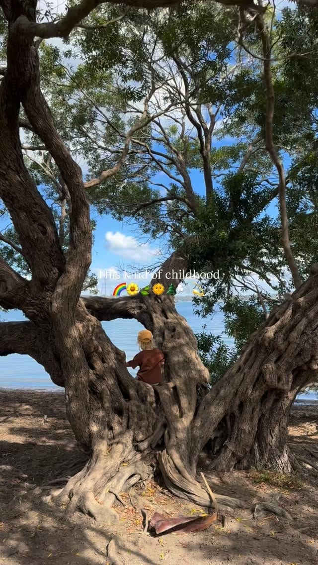 Post 9 by ☽❍Claire on Instagram (video)