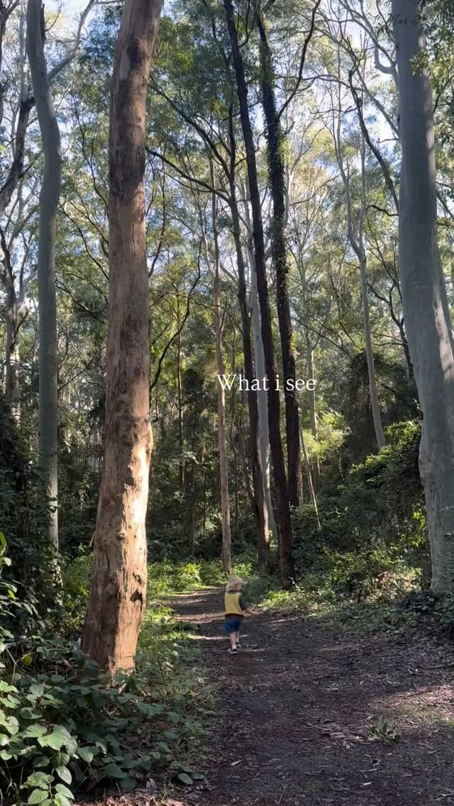 Post 3 by ☽❍Claire on Instagram (video)