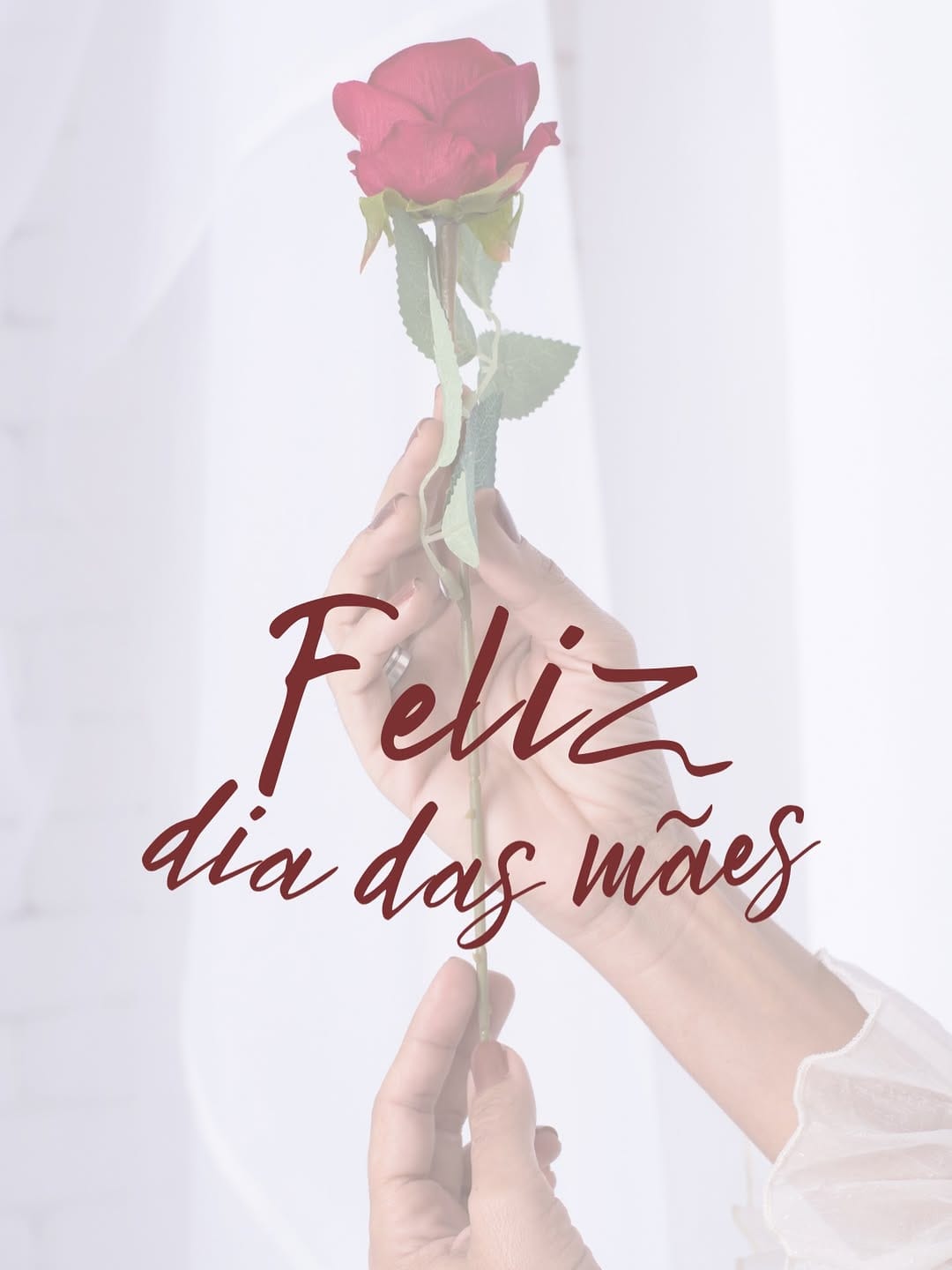 Post 7 by Raiane Cardoso on Instagram (image)