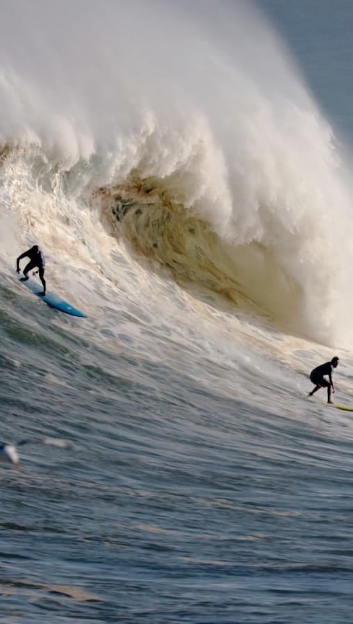 Post 3 by Stephan Figueiredo on Instagram (video)